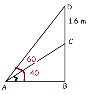 Questions Based on Angle of Elevation