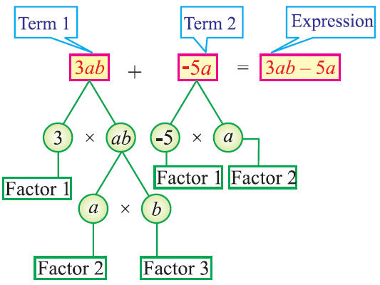 Identify Parts Of An Expression