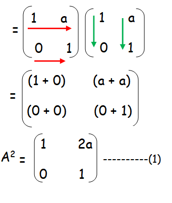 Matrix Multiplication Worksheet Answers