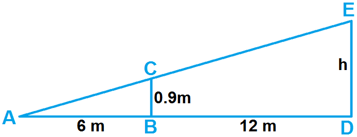 Finding Missing Measures in Similar Triangles Worksheet