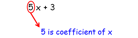 How To Identify Terms And Coefficients