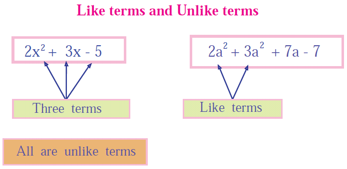 combining-like-terms