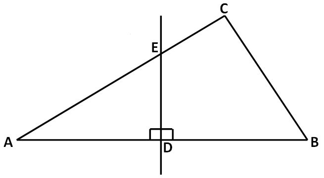 Special Line Segments in Triangles Worksheet