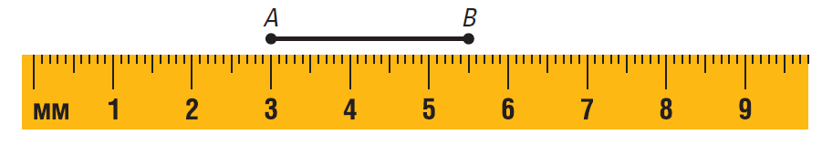 Segments and Their Measures